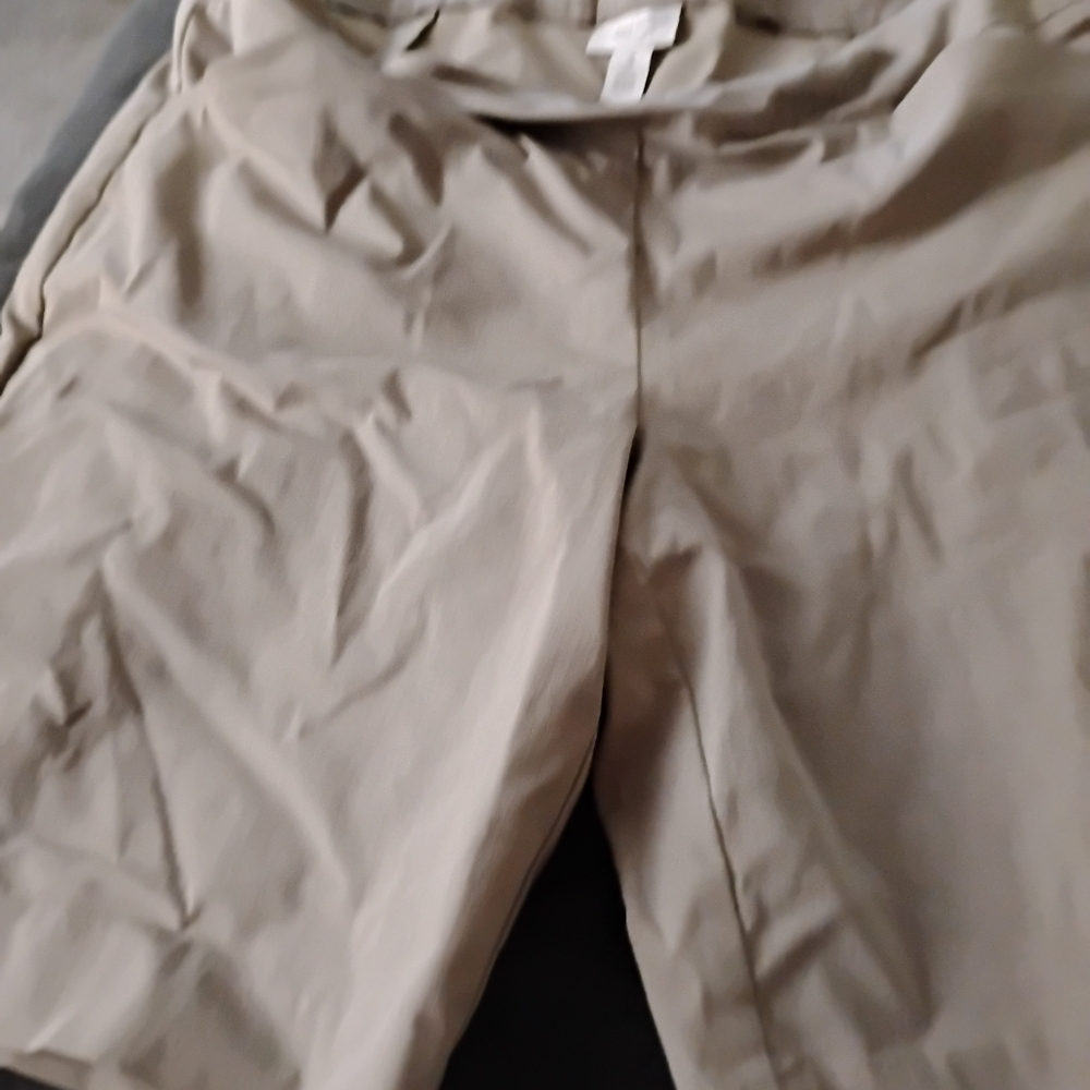 Chicos 3 shorts